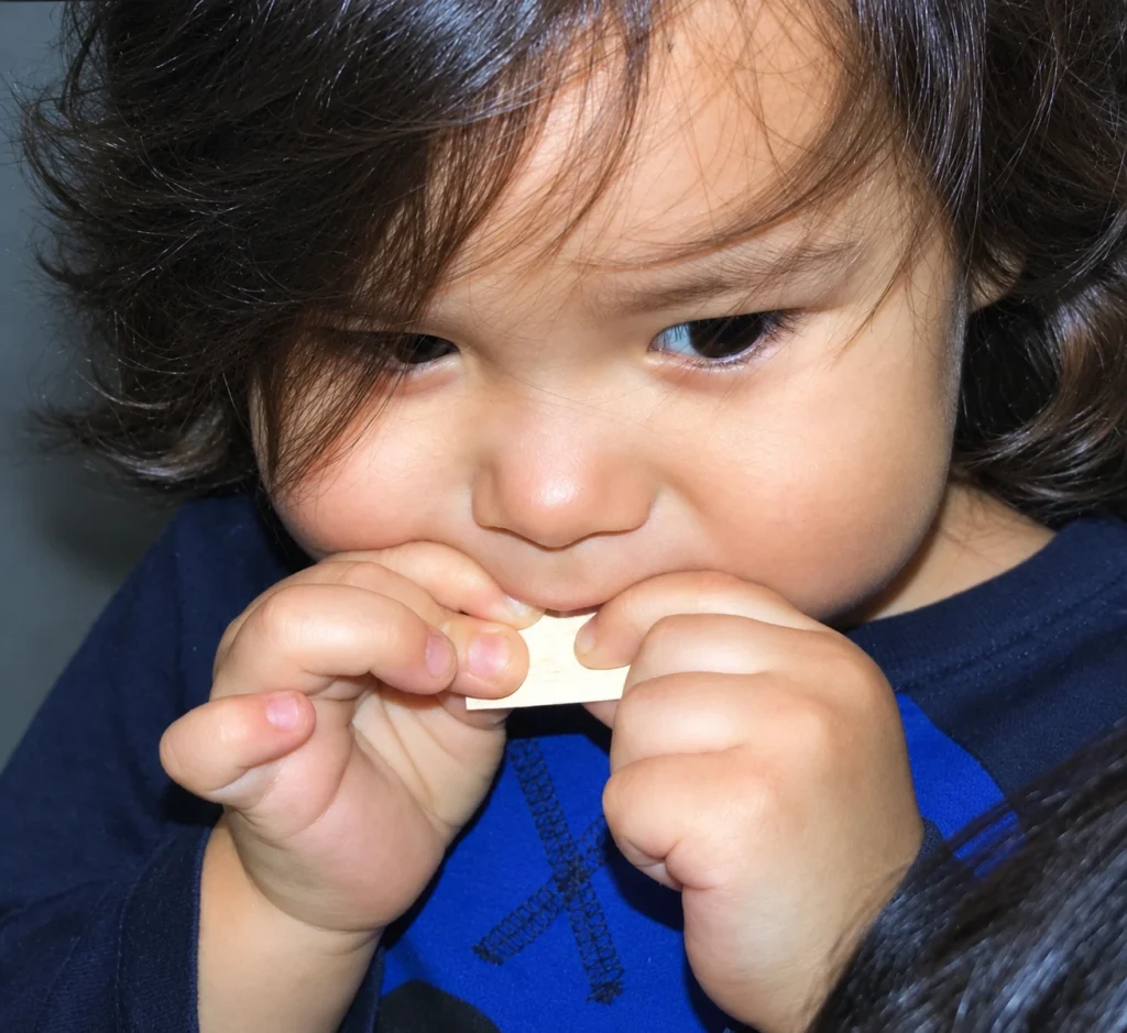 Baby doing birch bark biting
