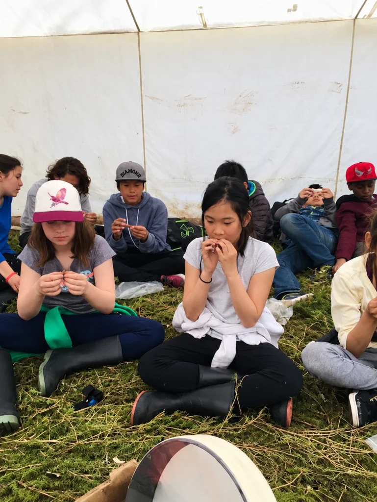 Birch bark biting with kids in Manitoba